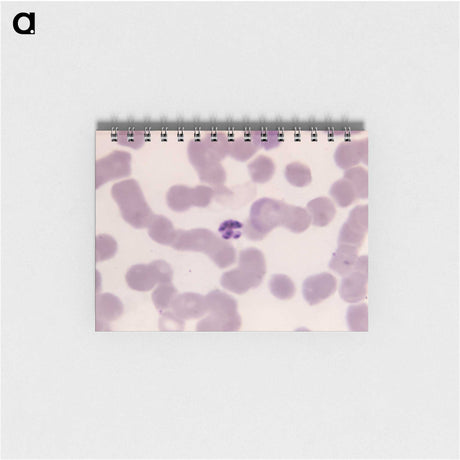 3-9_COVID-19_memo