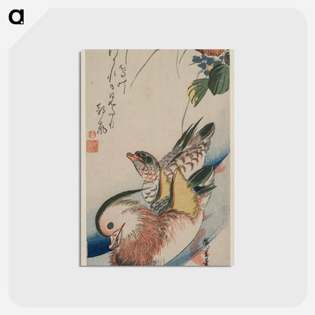 アートポストカード-Mandarin Ducks
 - クリーブランド美術館 Postcard.