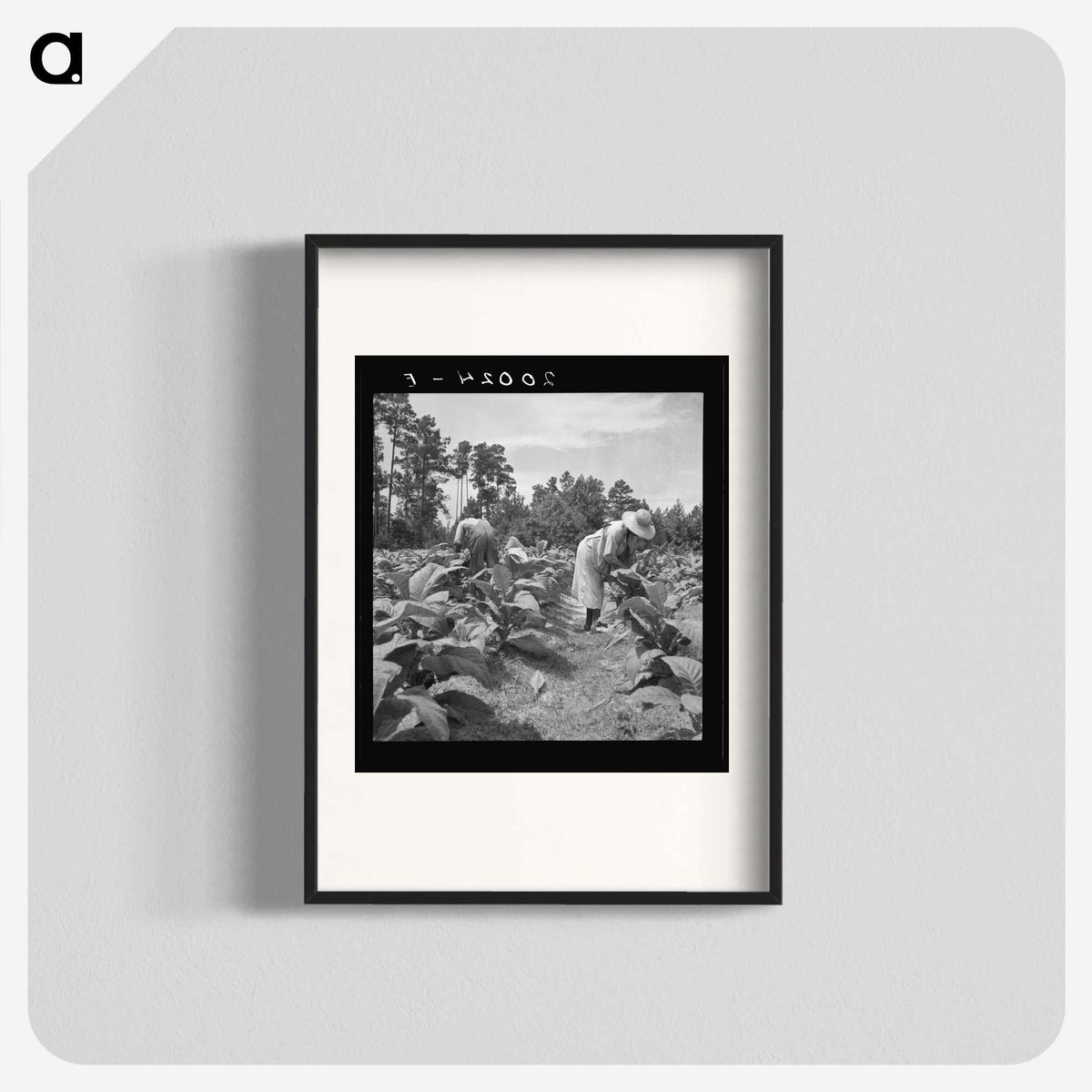 3-9_Dorothea-Lange_blk