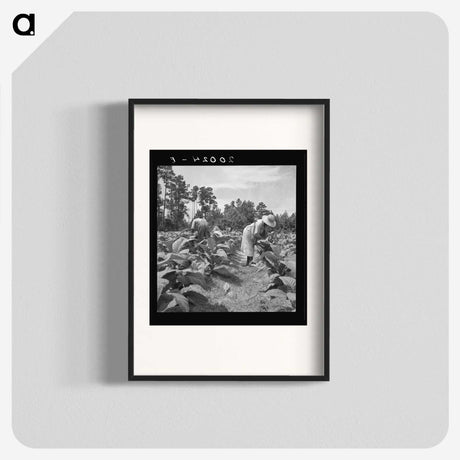 3-9_Dorothea-Lange_blk