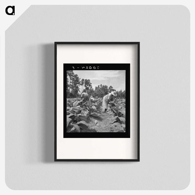 3-9_Dorothea-Lange_blk