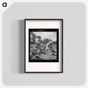 アートポスター-Tenants Topping and Suckering Tobacco Plants - ドロテア ラング Poster.
