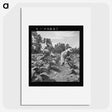 3-9_Dorothea-Lange_picture