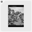 3-9_Dorothea-Lange_postcard