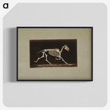 3-9_Eadweard-Muybridge_blk-crop