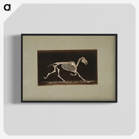 3-9_Eadweard-Muybridge_blk-crop