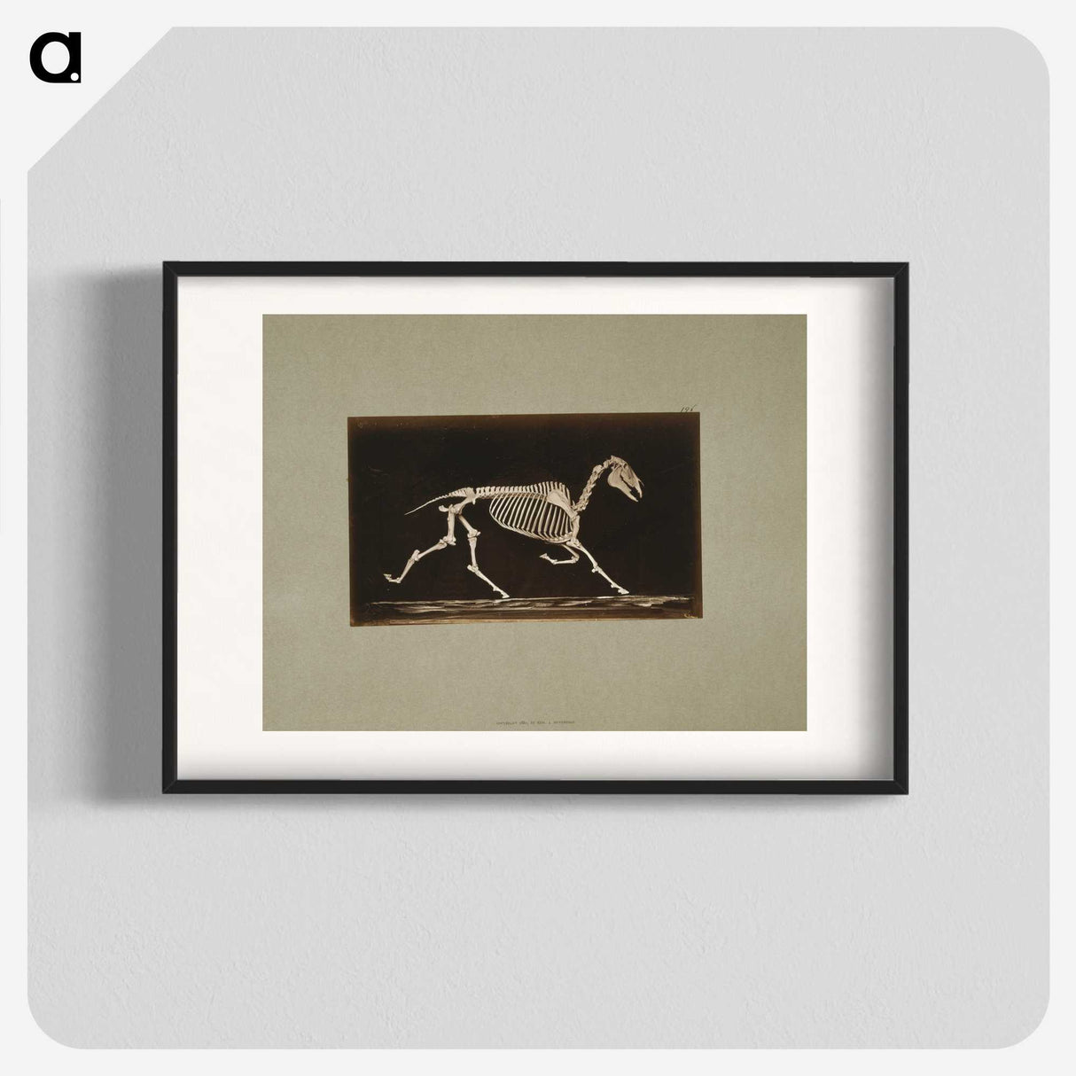 3-9_Eadweard-Muybridge_blk