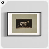 3-9_Eadweard-Muybridge_blk