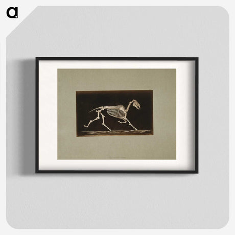 3-9_Eadweard-Muybridge_blk