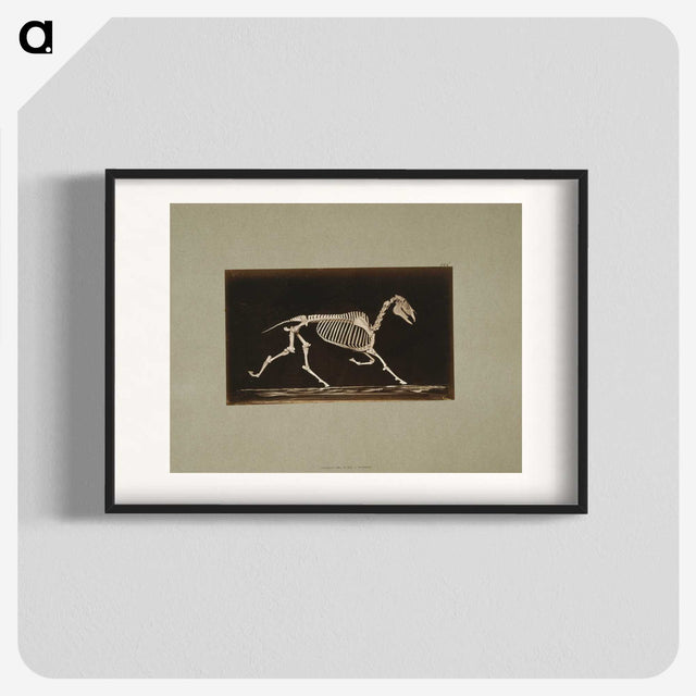 3-9_Eadweard-Muybridge_blk