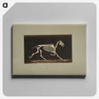 3-9_Eadweard-Muybridge_canvas