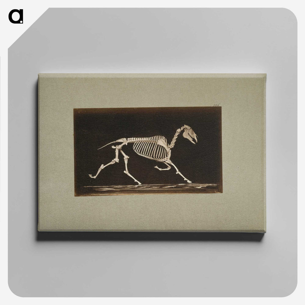 3-9_Eadweard-Muybridge_canvas