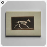 3-9_Eadweard-Muybridge_canvas