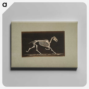 3-9_Eadweard-Muybridge_canvas