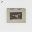 3-9_Eadweard-Muybridge_memo