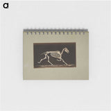 3-9_Eadweard-Muybridge_memo