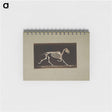 アートメモ帳-Trotting Horse Skeleton
 - エドワード マイブリッジ Memo.