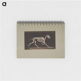 アートメモ帳-Trotting Horse Skeleton
 - エドワード マイブリッジ Memo.