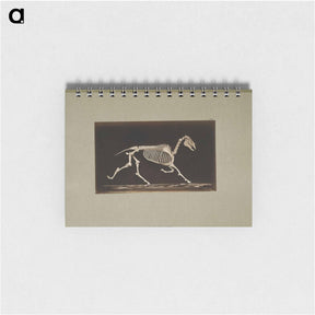アートメモ帳-Trotting Horse Skeleton
 - エドワード マイブリッジ Memo.
