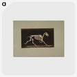 3-9_Eadweard-Muybridge_postcard