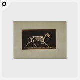 アートポストカード-Trotting Horse Skeleton
 - エドワード マイブリッジ Postcard.