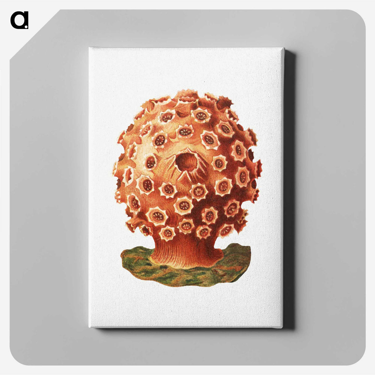 3-9_Ernst-Haeckel_canvas