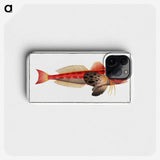 3-9_Ichtyologie-ou-Histoire-naturelle_phone