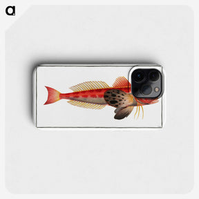 3-9_Ichtyologie-ou-Histoire-naturelle_phone