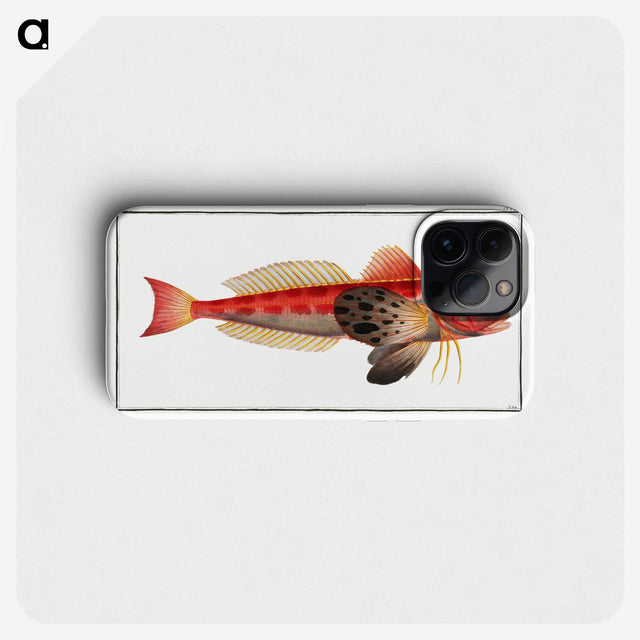 3-9_Ichtyologie-ou-Histoire-naturelle_phone