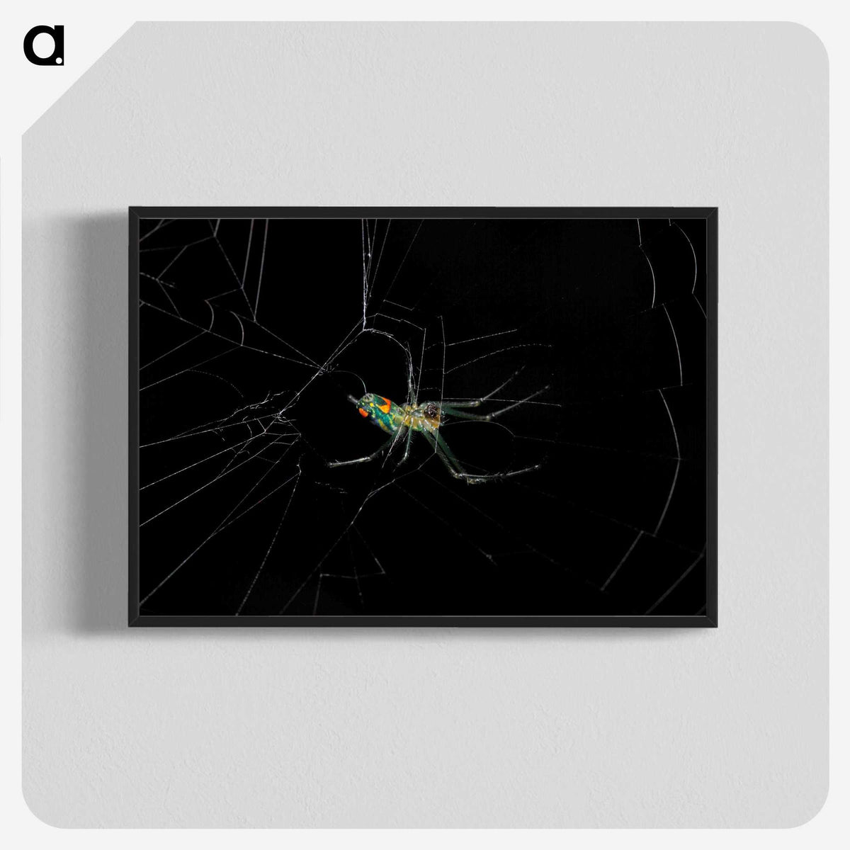 3-9_Insects-Unlocked-Project_blk-crop