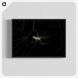 3-9_Insects-Unlocked-Project_blk-crop