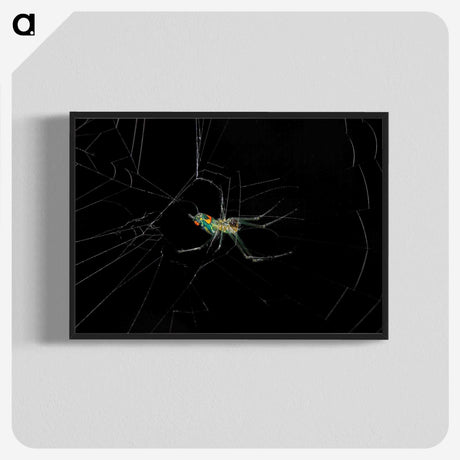 3-9_Insects-Unlocked-Project_blk-crop