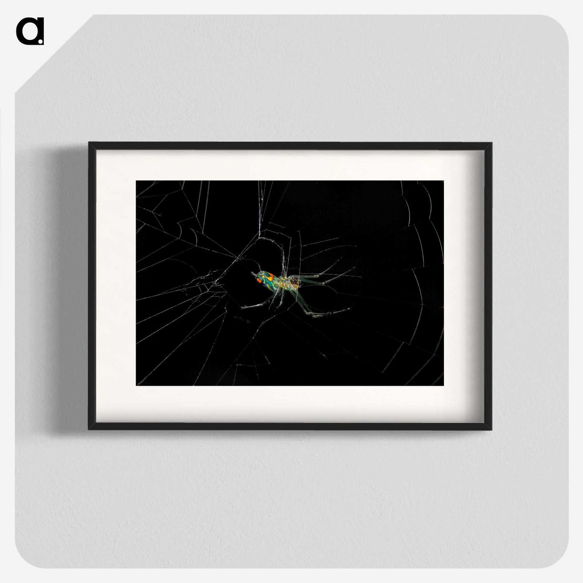 3-9_Insects-Unlocked-Project_blk