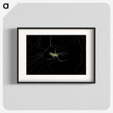 3-9_Insects-Unlocked-Project_blk