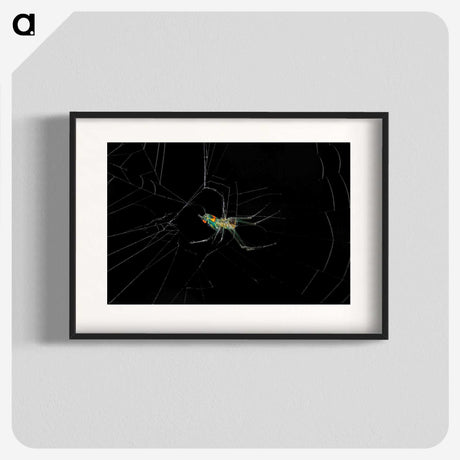 3-9_Insects-Unlocked-Project_blk
