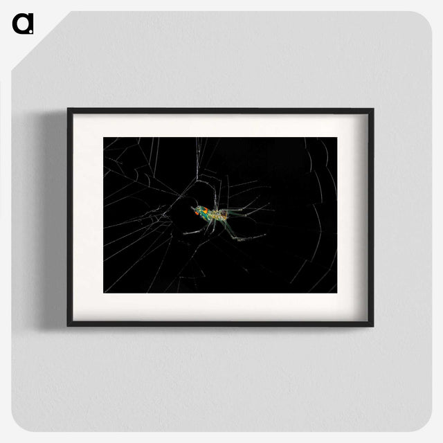3-9_Insects-Unlocked-Project_blk