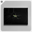 3-9_Insects-Unlocked-Project_canvas