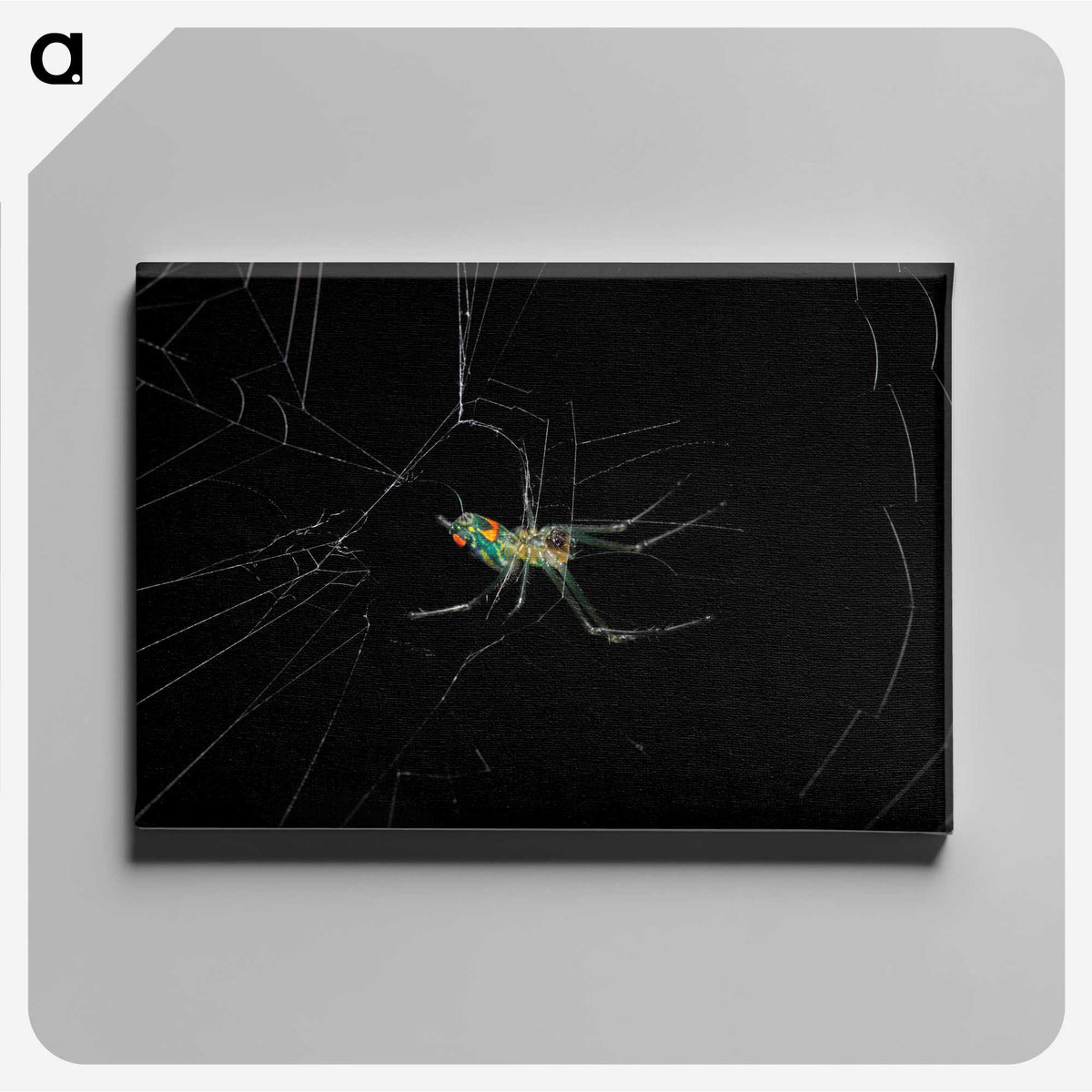 3-9_Insects-Unlocked-Project_canvas