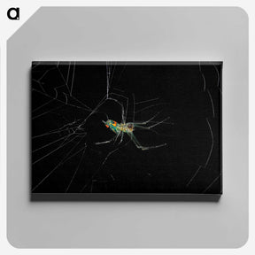 3-9_Insects-Unlocked-Project_canvas