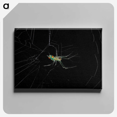 3-9_Insects-Unlocked-Project_canvas