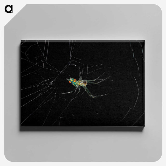 3-9_Insects-Unlocked-Project_canvas