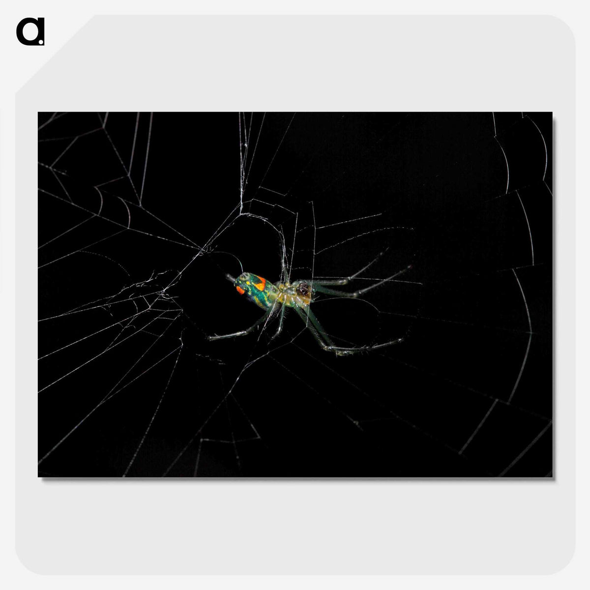 3-9_Insects-Unlocked-Project_picture-crop