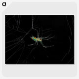 3-9_Insects-Unlocked-Project_picture-crop