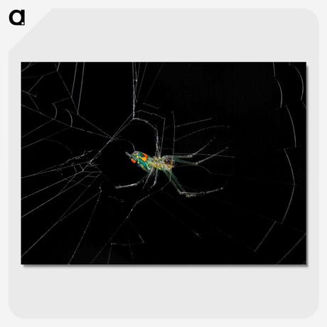 3-9_Insects-Unlocked-Project_picture-crop