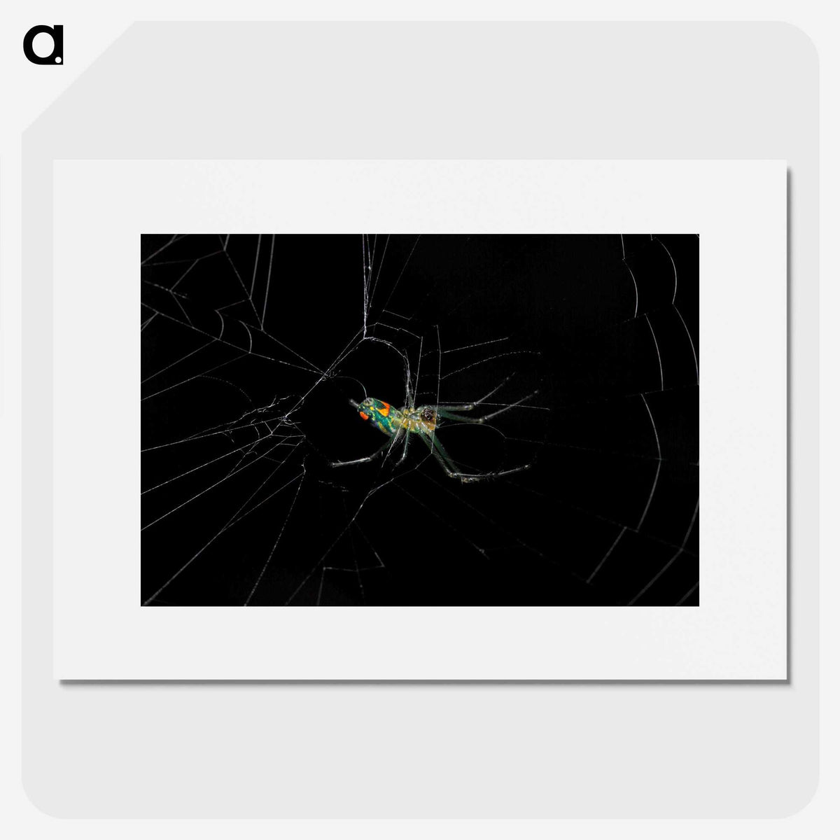 3-9_Insects-Unlocked-Project_picture