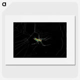 3-9_Insects-Unlocked-Project_picture