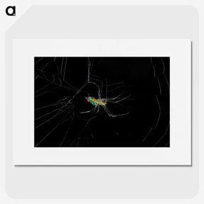 3-9_Insects-Unlocked-Project_picture