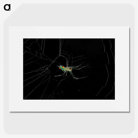 3-9_Insects-Unlocked-Project_picture