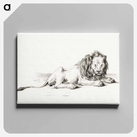 アートパネル-Lying lion - ジャン ベルナール Canvas.
