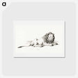 アートポストカード-Lying lion - ジャン ベルナール Postcard.